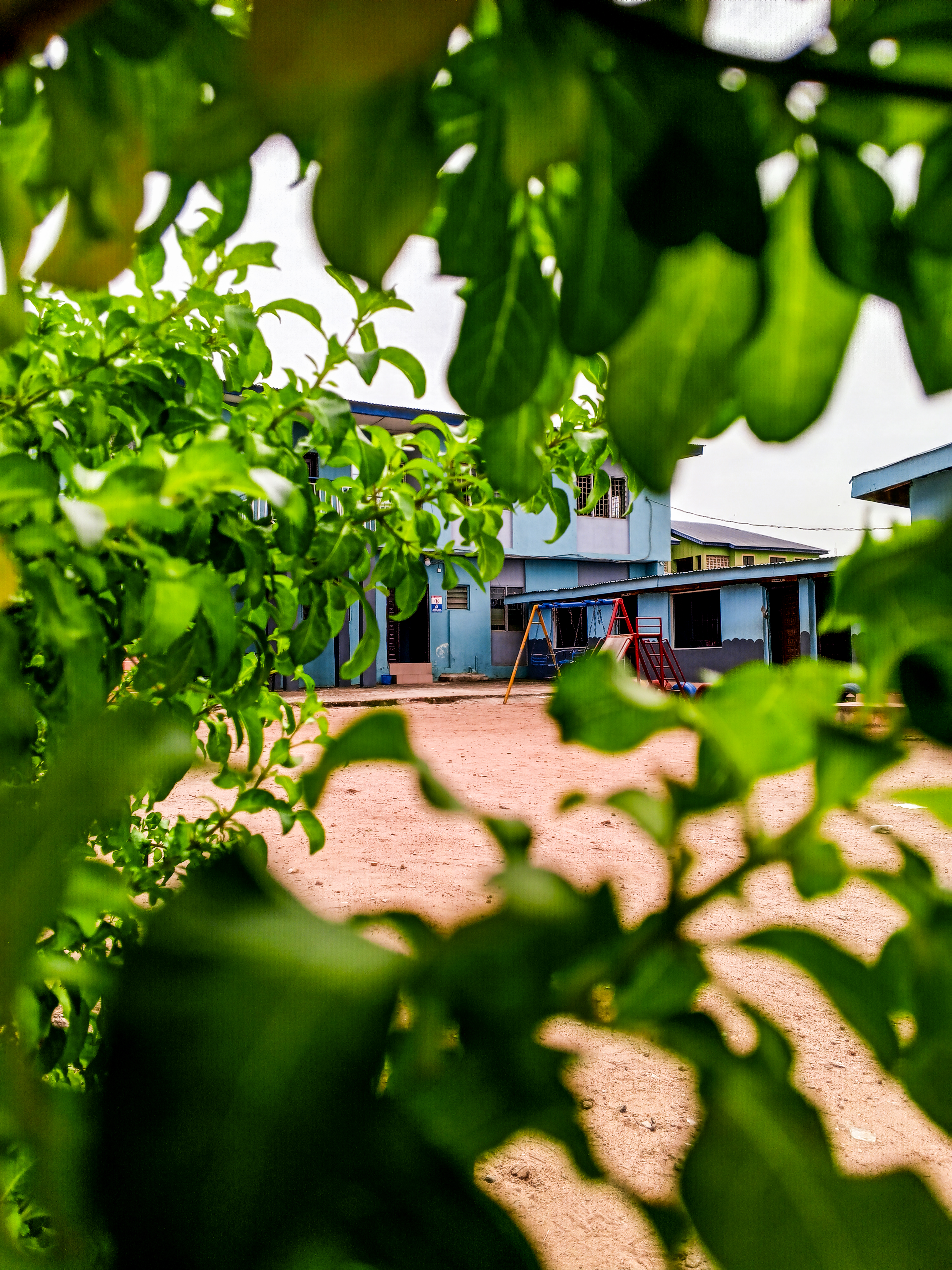 Precious Sprouts Schools building